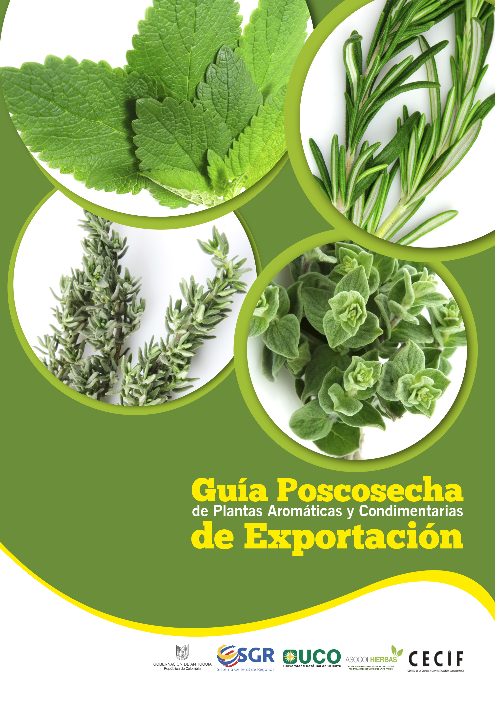 caratula libro plantas aromaticas.jpg